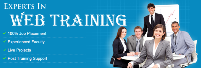 website designing training in Bhopal